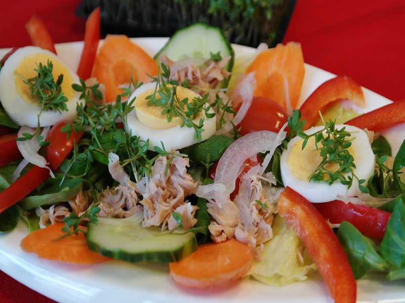 Salad cá ngừ rau mầm