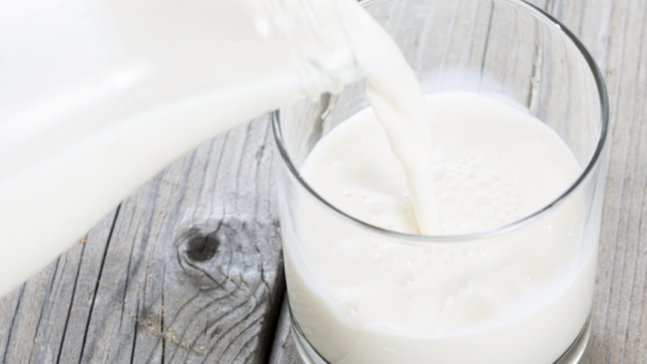 Các loại sữa đã được tiệt trùng công nghiệp không có trong thực đơn Paleo
