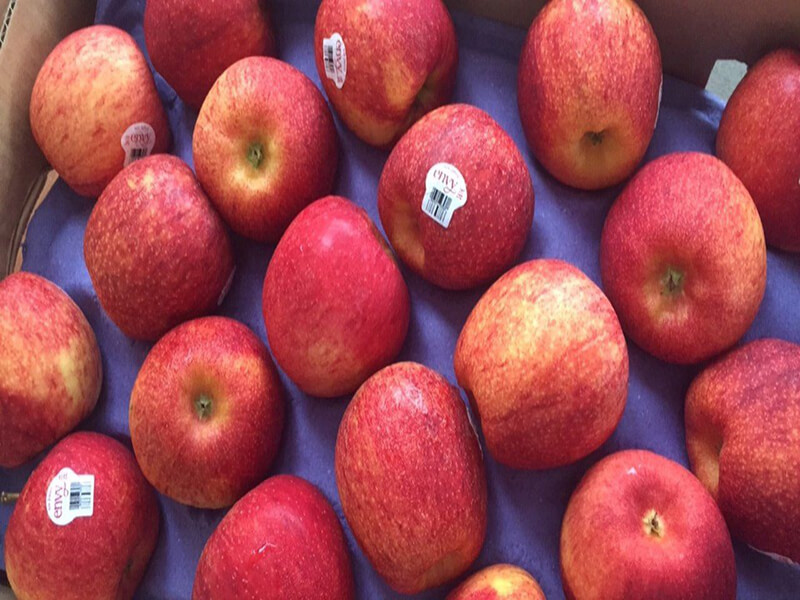 Các loại táo trên thị trường 